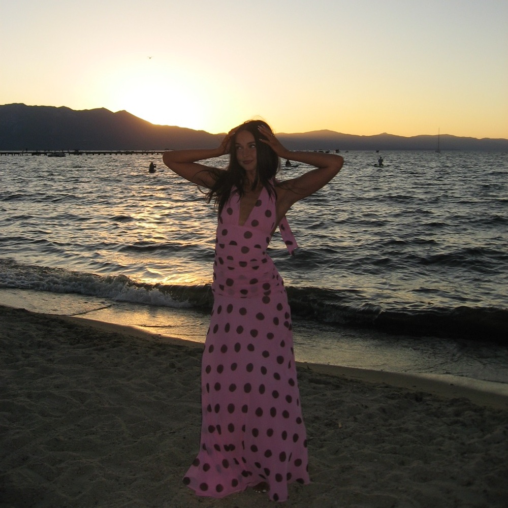 Zara Pink and Brown Dress